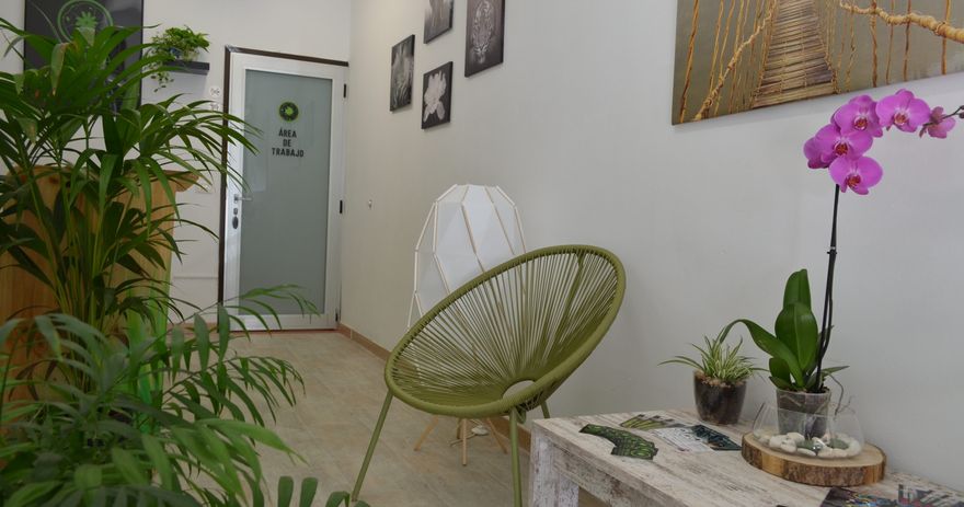 Interior del estudio Natura Tattoo